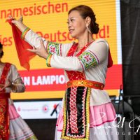 Festumzug Lampionfest Wernigerode-057